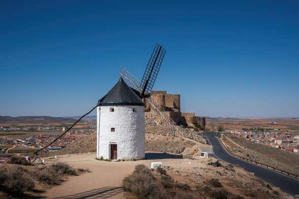 Excursión a Consuegra