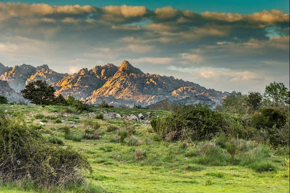Excursión al Parque Nacional de la Sierra de Guadarrama
