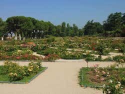 Rosaleda del Parque del Oeste