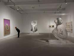 Sala de arte contemporáneo del Museo Reina Sofía
